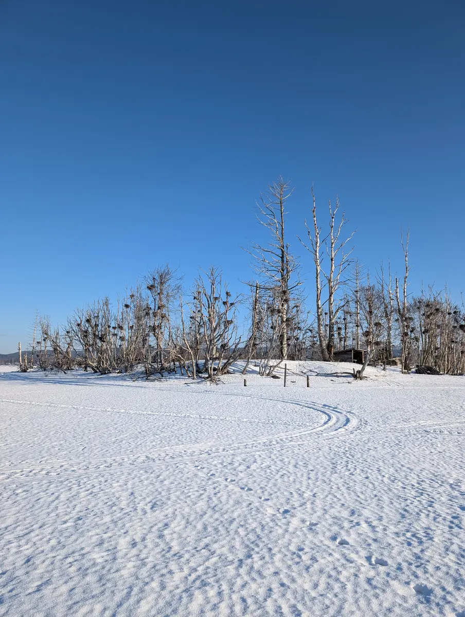 Snowy river island