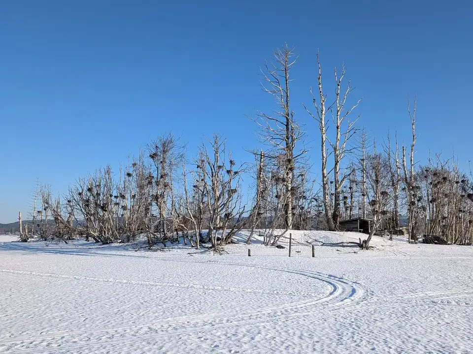 Snowy river island